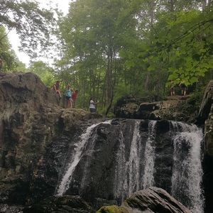 Meet your Posher, Rhonda